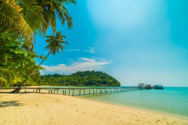 Güzel tropikal plaj ve deniz paradise Island Seyahat ve tatil için Hindistan cevizi hurma ağacı