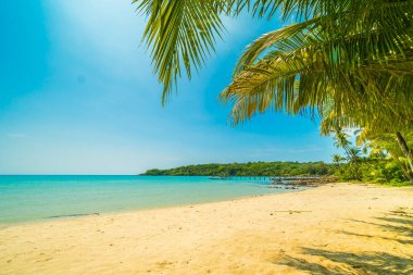 Güzel tropikal plaj ve deniz paradise Island Seyahat ve tatil için Hindistan cevizi hurma ağacı