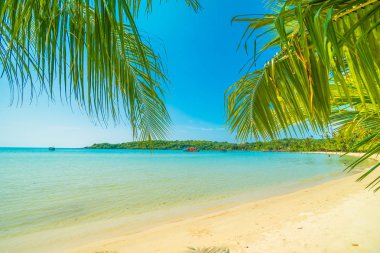 Güzel tropikal plaj ve deniz paradise Island Seyahat ve tatil için Hindistan cevizi hurma ağacı