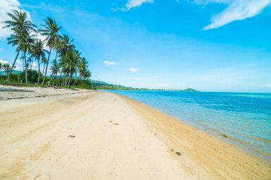 Güzel tropikal plaj ve Hindistan cevizi hurma ağacı Cennet Adası