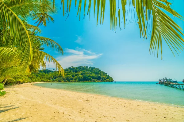 Wunderschöner Tropischer Strand Und Meer Mit Kokospalmen Paradiesinsel Für Reise — Stockfoto