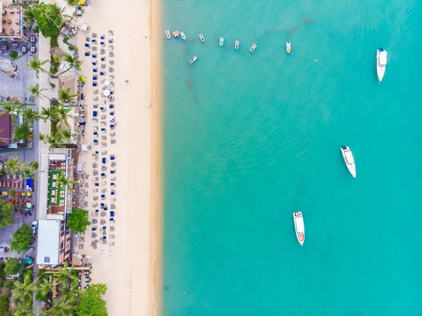 Güzel Tropikal Plaj Deniz Hurma Koh Samui Adası Seyahat Tatil — Stok fotoğraf