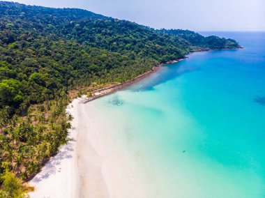 Plaj ve deniz paradise Island tatil için Hindistan cevizi hurma ağacı ile güzel havadan görünümü