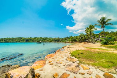 Güzel tropikal plaj ve deniz paradise Island Seyahat ve tatil için Hindistan cevizi hurma ağacı