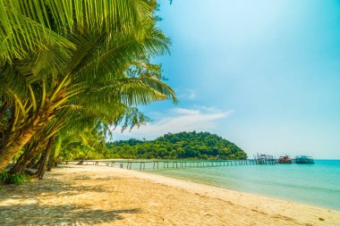 Güzel tropikal plaj ve deniz paradise Island Seyahat ve tatil için Hindistan cevizi hurma ağacı