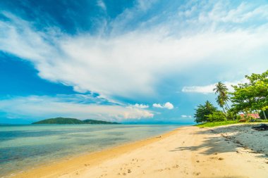 Güzel tropikal plaj ve Hindistan cevizi hurma ağacı Cennet Adası