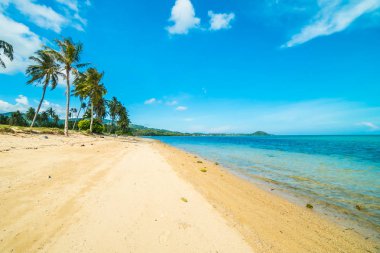 Güzel tropikal plaj ve Hindistan cevizi hurma ağacı Cennet Adası
