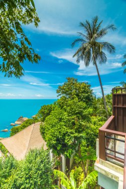 Plaj ve deniz ile Hindistan cevizi hurma ağacı koh samui Adası Tayland seyahat ve tatil için güzel havadan görünümü