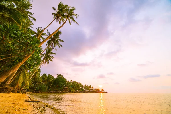 Bela Ilha Paradisíaca Com Praia Mar Torno Coqueiro Pôr Sol — Fotografia de Stock