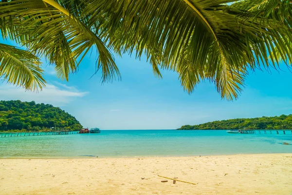 Hermosa Playa Tropical Mar Con Palmera Coco Isla Paradisíaca Para — Foto de Stock