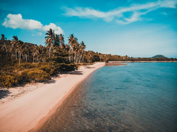Luftaufnahme Von Schönen Tropischen Strand Und Meer Mit Palme Und — Stockfoto
