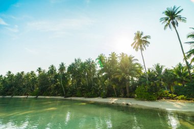 Plaj ve deniz Hindistan cevizi hurma ağacı günbatımı zaman - tatil tatil kavramı etrafında güzel Cennet Adası