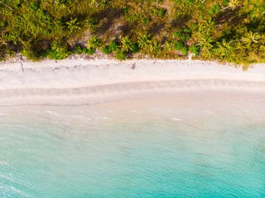 Plaj ve deniz paradise Island tatil için Hindistan cevizi hurma ağacı ile güzel havadan görünümü