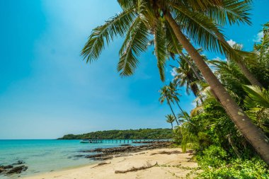 Güzel tropikal plaj ve deniz paradise Island Seyahat ve tatil için Hindistan cevizi hurma ağacı