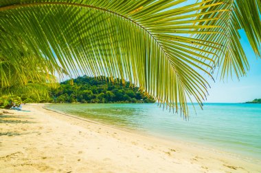 Güzel tropikal plaj ve deniz paradise Island Seyahat ve tatil için Hindistan cevizi hurma ağacı