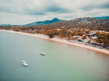 Güzel tropikal plaj ve deniz hurma ve koh samui Adası seyahat ve tatil için diğer ağacında havadan görünümü