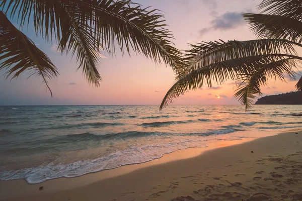 Hermosa Isla Paradisíaca Con Playa Mar Alrededor Palmera Coco Atardecer — Foto de Stock