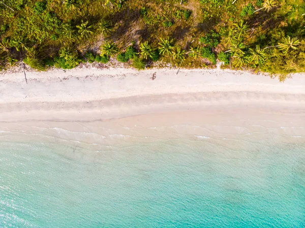 Вид Воздуха Пляж Море Кокосовой Пальмой Острове Парадизе Отдыха — стоковое фото