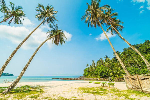 Beautiful tropical beach and sea with coconut palm tree in paradise island for travel and vacation