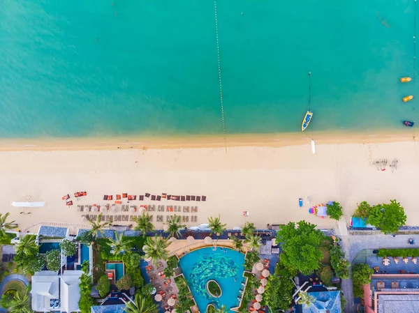 Güzel tropikal plaj ve deniz hurma ve koh samui Adası seyahat ve tatil için diğer ağacında havadan görünümü
