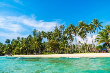 Güzel tropikal plaj ve Hindistan cevizi hurma ağacı Cennet Adası - tatil tatil kavramı ile