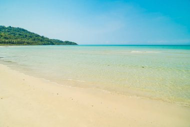 Güzel tropikal plaj ve deniz paradise Island Seyahat ve tatil için Hindistan cevizi hurma ağacı