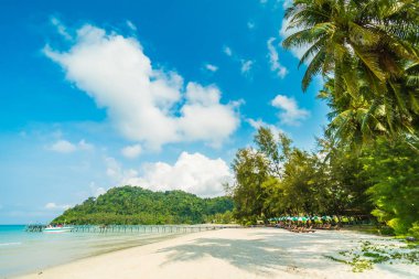 Güzel tropikal plaj ve deniz paradise Island Seyahat ve tatil için Hindistan cevizi hurma ağacı