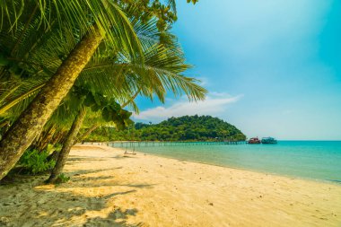 Güzel tropikal plaj ve deniz paradise Island Seyahat ve tatil için Hindistan cevizi hurma ağacı