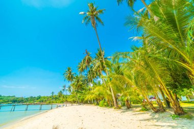 Güzel tropikal plaj ve deniz paradise Island Seyahat ve tatil için Hindistan cevizi hurma ağacı