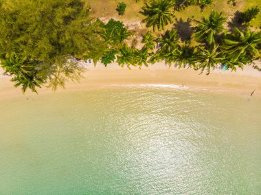 Plaj ve deniz paradise Island tatil için Hindistan cevizi hurma ağacı ile güzel havadan görünümü