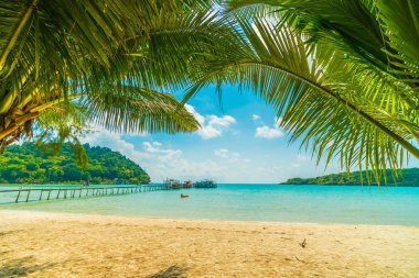 Güzel tropikal plaj ve deniz paradise Island Seyahat ve tatil için Hindistan cevizi hurma ağacı