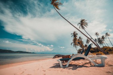 Güzel tropikal plaj ve Hindistan cevizi hurma ağacı ve Cennet Adası sandalyede denize sıfır