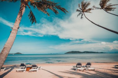 Güzel tropikal plaj ve Hindistan cevizi hurma ağacı ve Cennet Adası sandalyede denize sıfır
