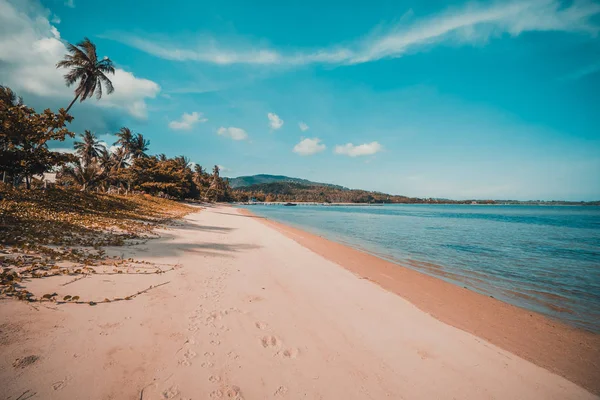 Beautiful Tropical Beach Sea Coconut Palm Tree Paradise Island — Stock Photo, Image