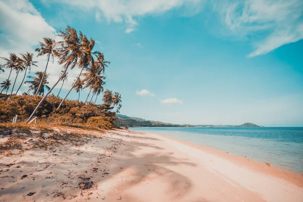 Wunderschöner Tropischer Strand Und Meer Mit Kokospalmen Paradiesinsel — Stockfoto