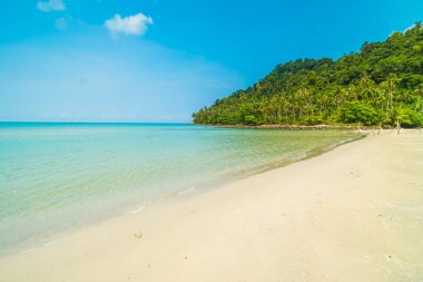 Güzel tropikal plaj ve deniz paradise Island Seyahat ve tatil için Hindistan cevizi hurma ağacı