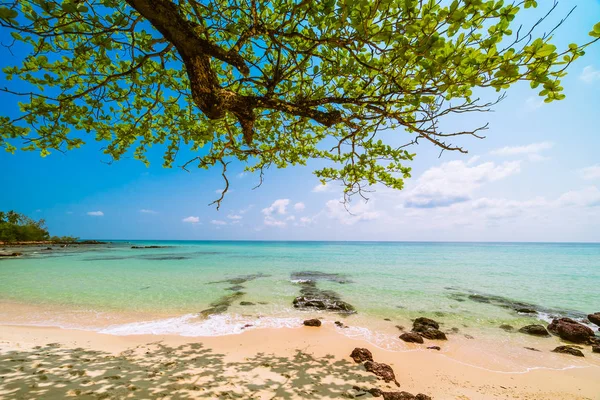 Güzel cennet tropikal plaj ve deniz - tatil tatil kavramı