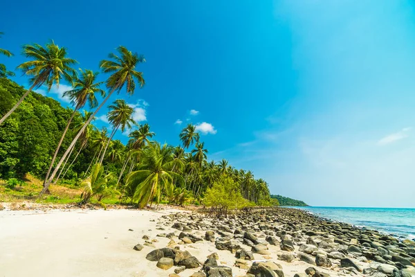 Güzel doğa tropikal plaj ve Hindistan cevizi hurma ağacı için cennet adasında tatil seyahat