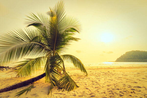 Beautiful tropical beach and sea with coconut palm tree in paradise island  at sunset time
