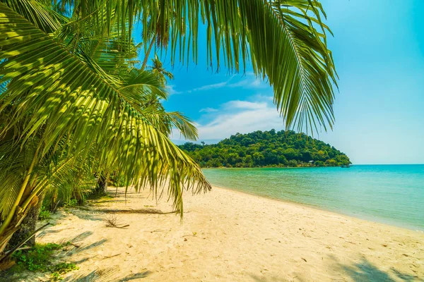 Beautiful Tropical Beach Sea Coconut Palm Tree Paradise Island Travel — Stock Photo, Image