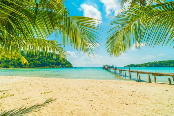 Güzel tropikal plaj ve deniz paradise Island Seyahat ve tatil için Hindistan cevizi hurma ağacı