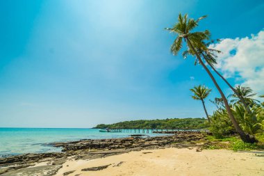 Güzel tropikal plaj ve deniz paradise Island Seyahat ve tatil için Hindistan cevizi hurma ağacı