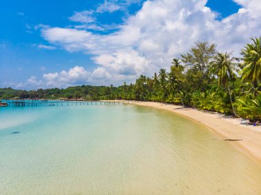 Plaj ve deniz paradise Island tatil için Hindistan cevizi hurma ağacı ile güzel havadan görünümü