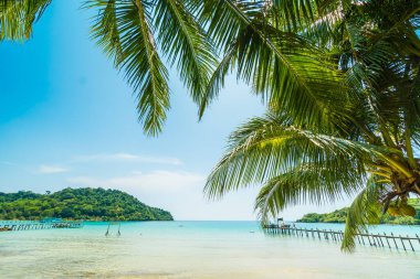 Güzel tropikal plaj ve deniz paradise Island Seyahat ve tatil için Hindistan cevizi hurma ağacı