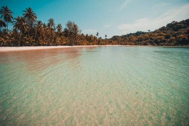 Güzel tropikal plaj ve deniz paradise Island Seyahat ve tatil için Hindistan cevizi hurma ağacı