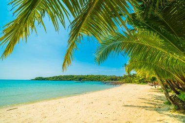 Güzel tropikal plaj ve deniz paradise Island Seyahat ve tatil için Hindistan cevizi hurma ağacı