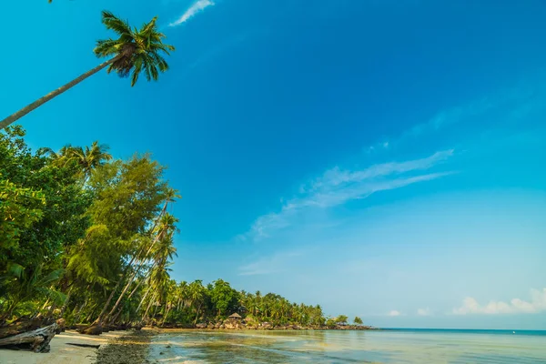 Vackra Paradisön Med Stranden Och Havet Runt Coconut Palm Tree — Stockfoto