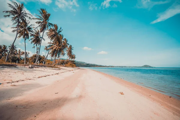 Beautiful Tropical Beach Sea Coconut Palm Tree Paradise Island — Stock Photo, Image