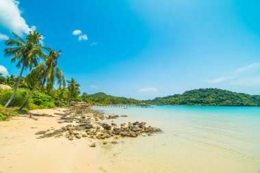 Güzel tropikal plaj ve deniz paradise Island Seyahat ve tatil için Hindistan cevizi hurma ağacı