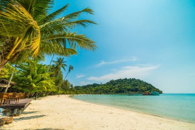Güzel tropikal plaj ve deniz paradise Island Seyahat ve tatil için Hindistan cevizi hurma ağacı
